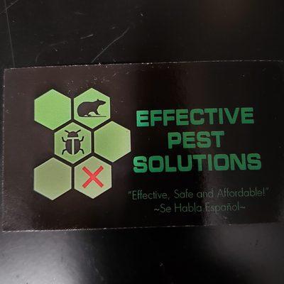 Effective Pest Solutions