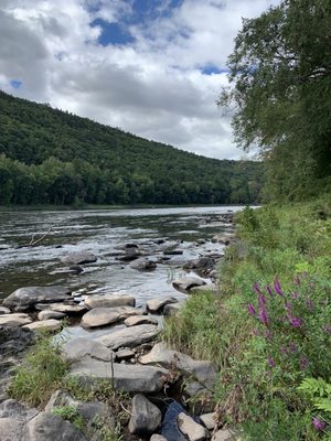 River scenery