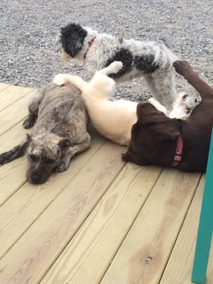 Lounging in our outdoor play area! 5,000 square feet of outdoor fun.