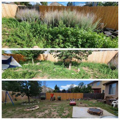 Spring Clean Up, What A Transformation!! #LawnCareService #SpringCleanup #BushTrimming