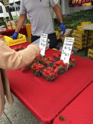 The strawberries were divine. Not inexpensive but a tasty purchase.