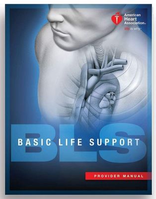 Healthcare Provider (BLS) Renewal course - $65 cards issued same day, leave with card in hand