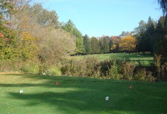 The view from the the 4th tee box, short forced carry and you must be accurate with the driver.