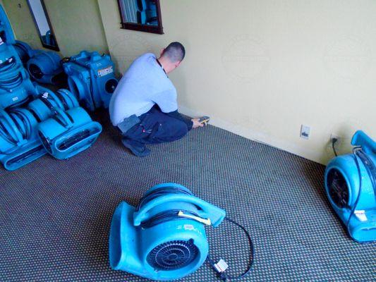 One of our technicians measuring the moisture in the wall