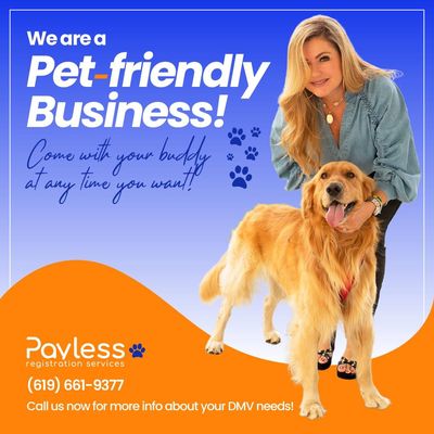 Payless Registration Services