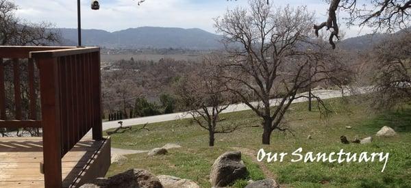 View from the Office at 27400 Oakflat Dr., Tehachapi, CA 93561