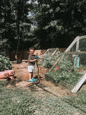 Watering the garden