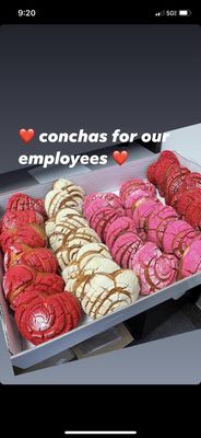 Conchas en corazón