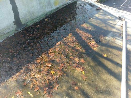 Standing water on roof due to clogged drains