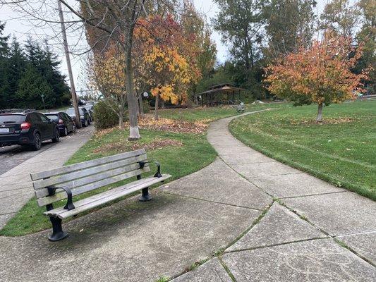 Bench by the paved path.