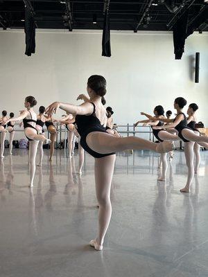 Pre professional ballet program