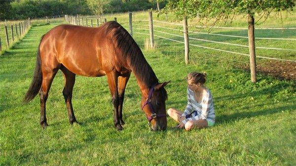 Happy Herd Stables