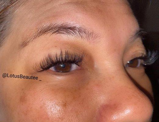 Lash extensions