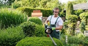 Your Neighborhood Tree Service & Landscaping