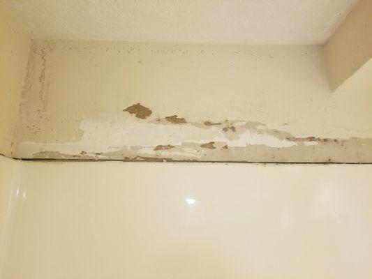 Wall above tub where paint molded and peeled