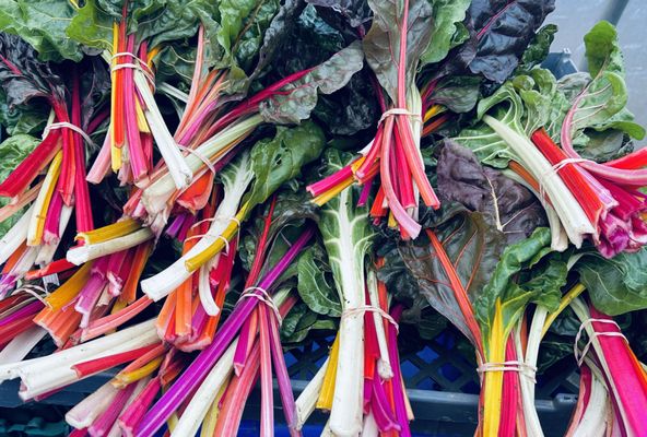 Riveting rainbow chard