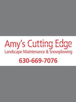 Amy's Cutting Edge