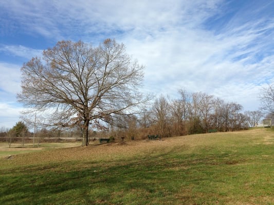 Many picnic and barbecue spots in this park