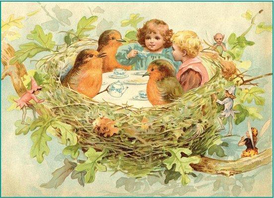 Your Robin's Nest