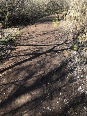 Trail at Mercer Slough Nature Park