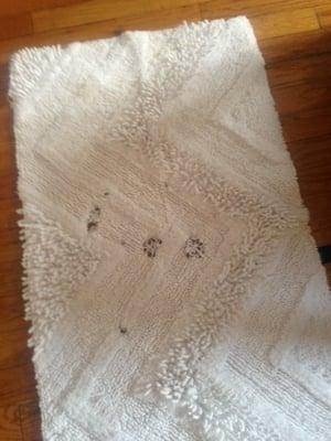 What they returned to me. A brand new bathmat with FIVE HOLES in it. No apology, no refund, nothing.