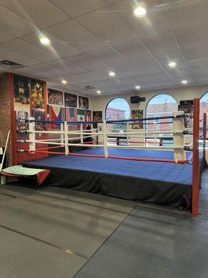 new boxing ring! 16x16ft