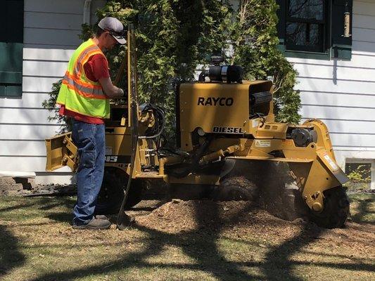 Stump grinding