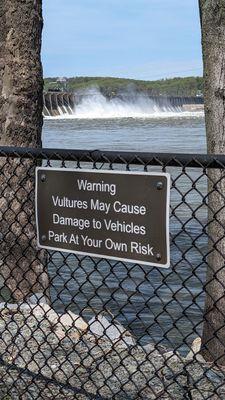 Conowingo Fisherman's Park