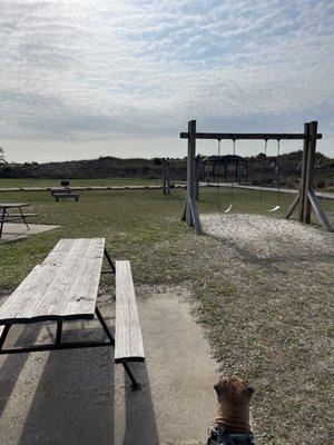 Swings Picnic Area