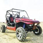 Buggy and UTV - Joyner USA