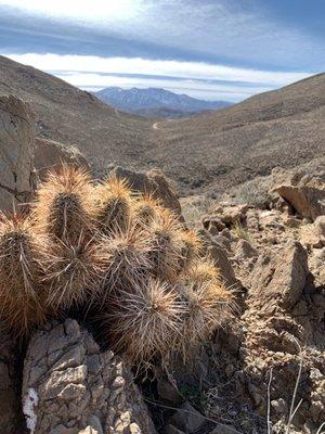 Death Valley