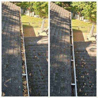 Gutter Cleaning