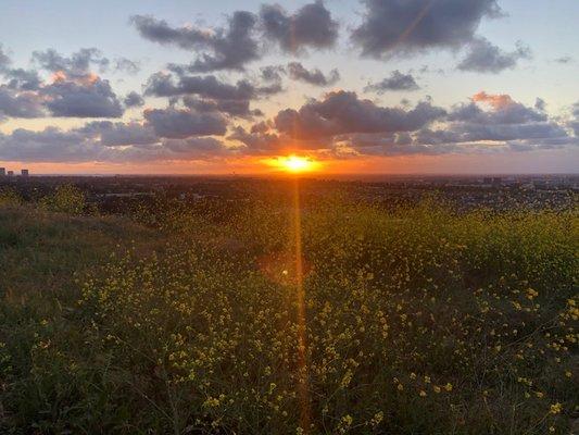 April Sunset