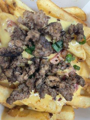 Cheese fries with seasoned beef