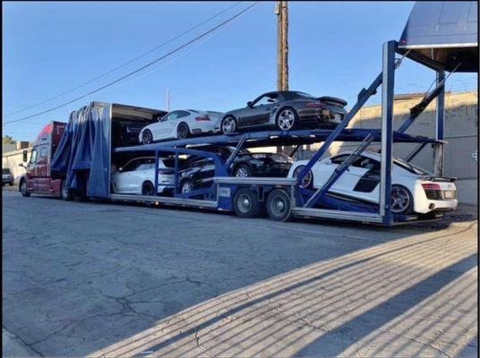 Exotic auto shipping