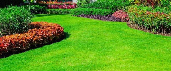 Z Garcia Landscaping