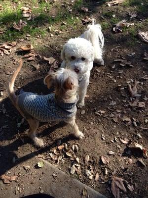 Fun at the park with new friends