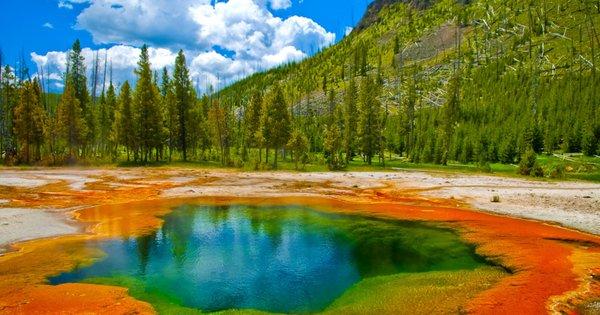 Yellowstone National Park