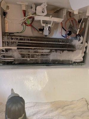 Jenn Air Refrigerator defrost issue