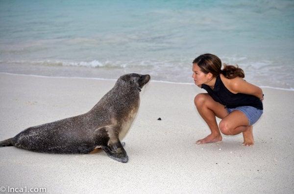 Conversation with a sea lion in the Galapagos Islands