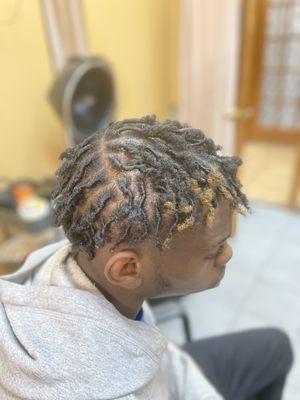 Starter locs