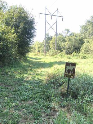 Horse trail to overlook.