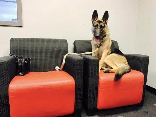 Creative Inspiration Coordinator Bonnie patiently waits while a vision is brought to life.