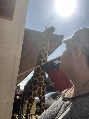 Texas flag and a tall giraffe in the sun