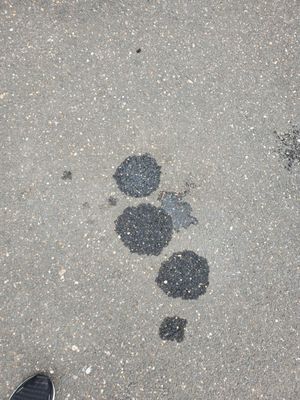 Oil spots (water to the right of middle spot)