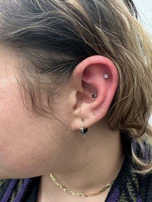 Helix and conch