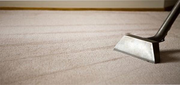 Carpet Cleaning Service