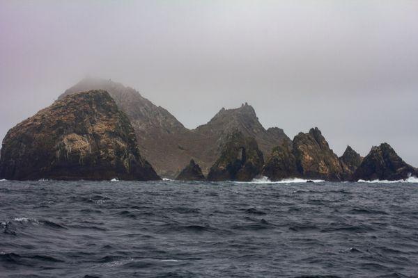 SE Farallon Island, aka "The Devil's Teeth"