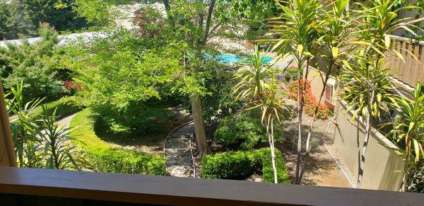 The Gardens - Here is a view of the lush greenery from a second floor studio apt