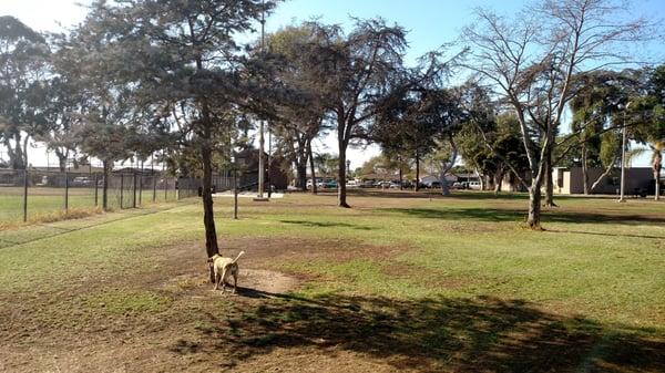 Other side of the field fence